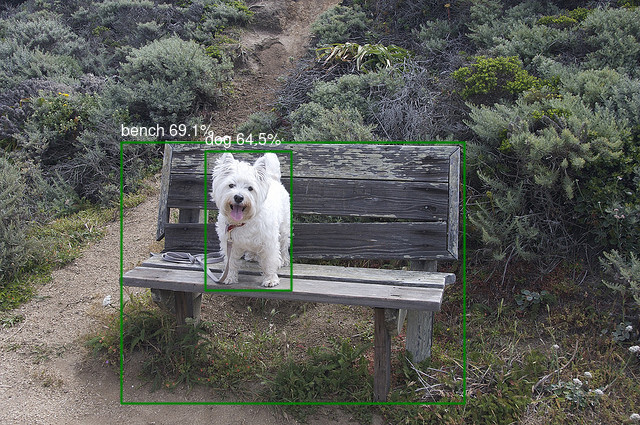 COCO dog image with detections COCO dog image with detections